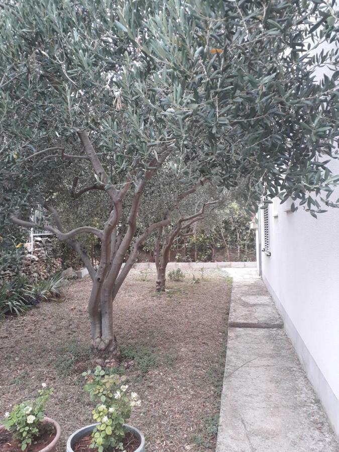 Apartments Boljat Trogir Eksteriør billede